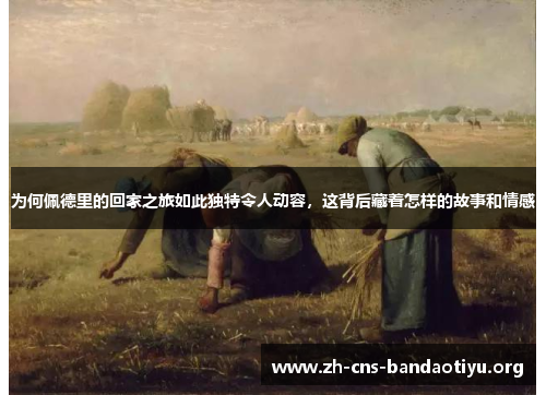 为何佩德里的回家之旅如此独特令人动容，这背后藏着怎样的故事和情感