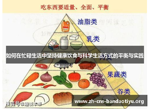 如何在忙碌生活中坚持健康饮食与科学生活方式的平衡与实践