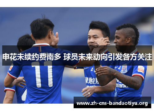 申花未续约费南多 球员未来动向引发各方关注