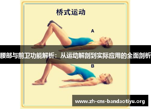 腰部与前卫功能解析:从运动解剖到实际应用的全面剖析 腰部与前卫功能解析:从运动解剖到实际应用的全面剖析