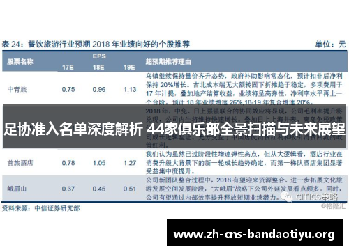 足协准入名单深度解析 44家俱乐部全景扫描与未来展望