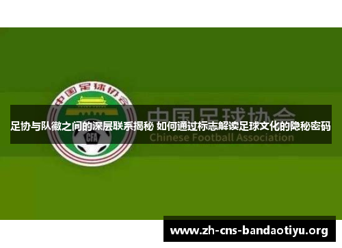 足协与队徽之间的深层联系揭秘 如何通过标志解读足球文化的隐秘密码 足协与队徽之间的深层联系揭秘 如何通过标志解读足球文化的隐秘密码