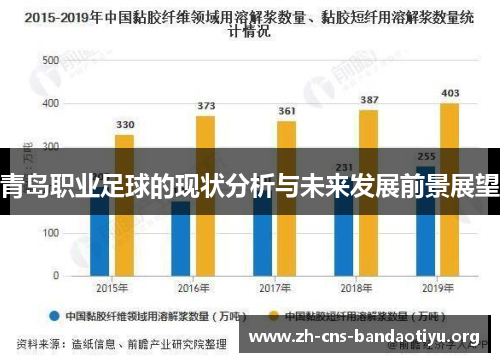 青岛职业足球的现状分析与未来发展前景展望