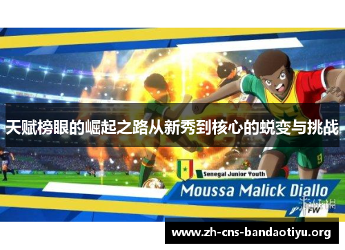 天赋榜眼的崛起之路从新秀到核心的蜕变与挑战