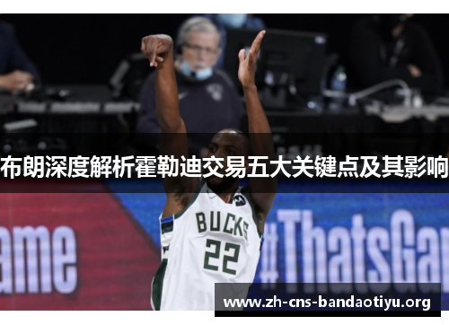 布朗深度解析霍勒迪交易五大关键点及其影响