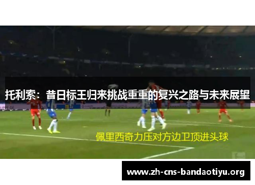 托利索：昔日标王归来挑战重重的复兴之路与未来展望