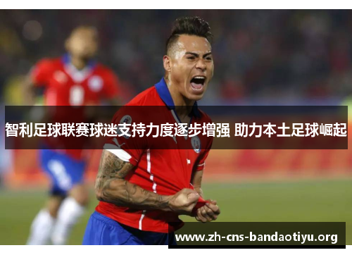 智利足球联赛球迷支持力度逐步增强 助力本土足球崛起